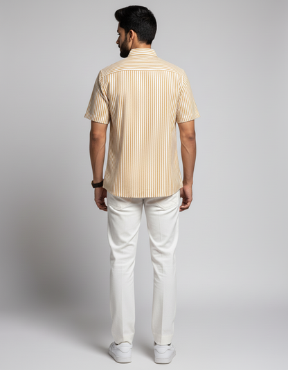 Stripped Shirt